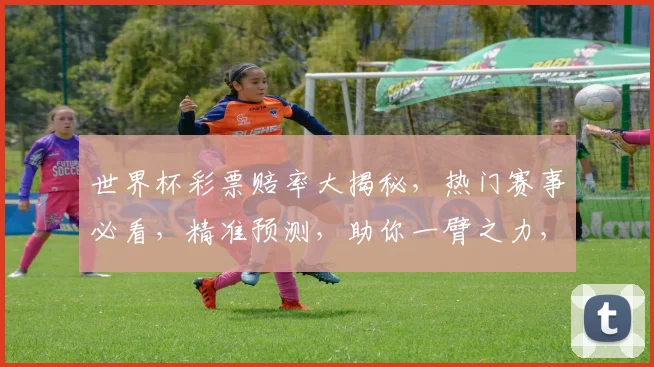 世界杯彩票赔率大揭秘，热门赛事必看，精准预测，助你一臂之力，赢取丰厚奖金