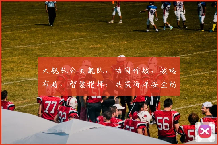大舰队公共舰队，协同作战，战略布局，智慧指挥，共筑海洋安全防线
